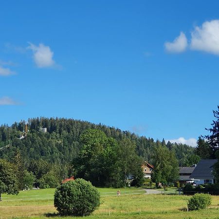 Ferienwohnung Hitz Hinterzarten Exterior photo